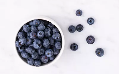 bowl of blueberries