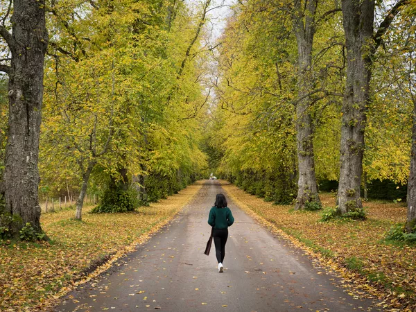 Should you walk after eating?