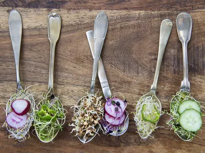 sprouts on spoons