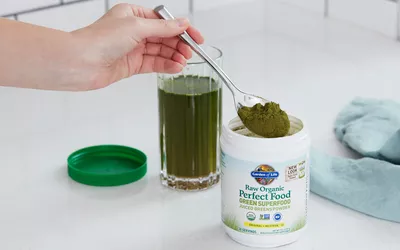 Hand holding a spoon full of Garden of Life Raw Organic Perfect Food Green Superfood powder