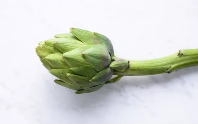 Artichoke
