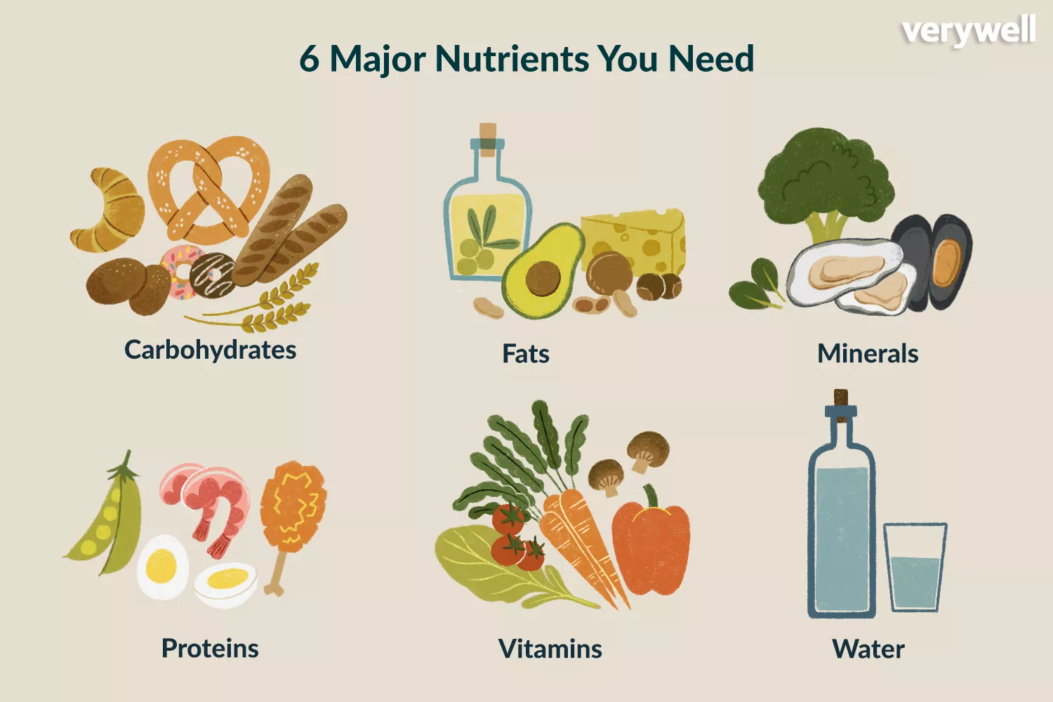 Major nutrients you need