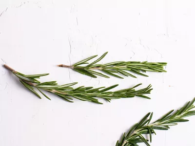 Rosemary