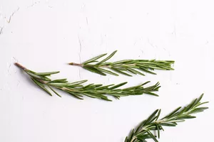 Rosemary