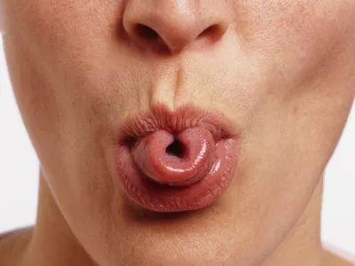 Rolling the Tongue for Sitali Pranayama