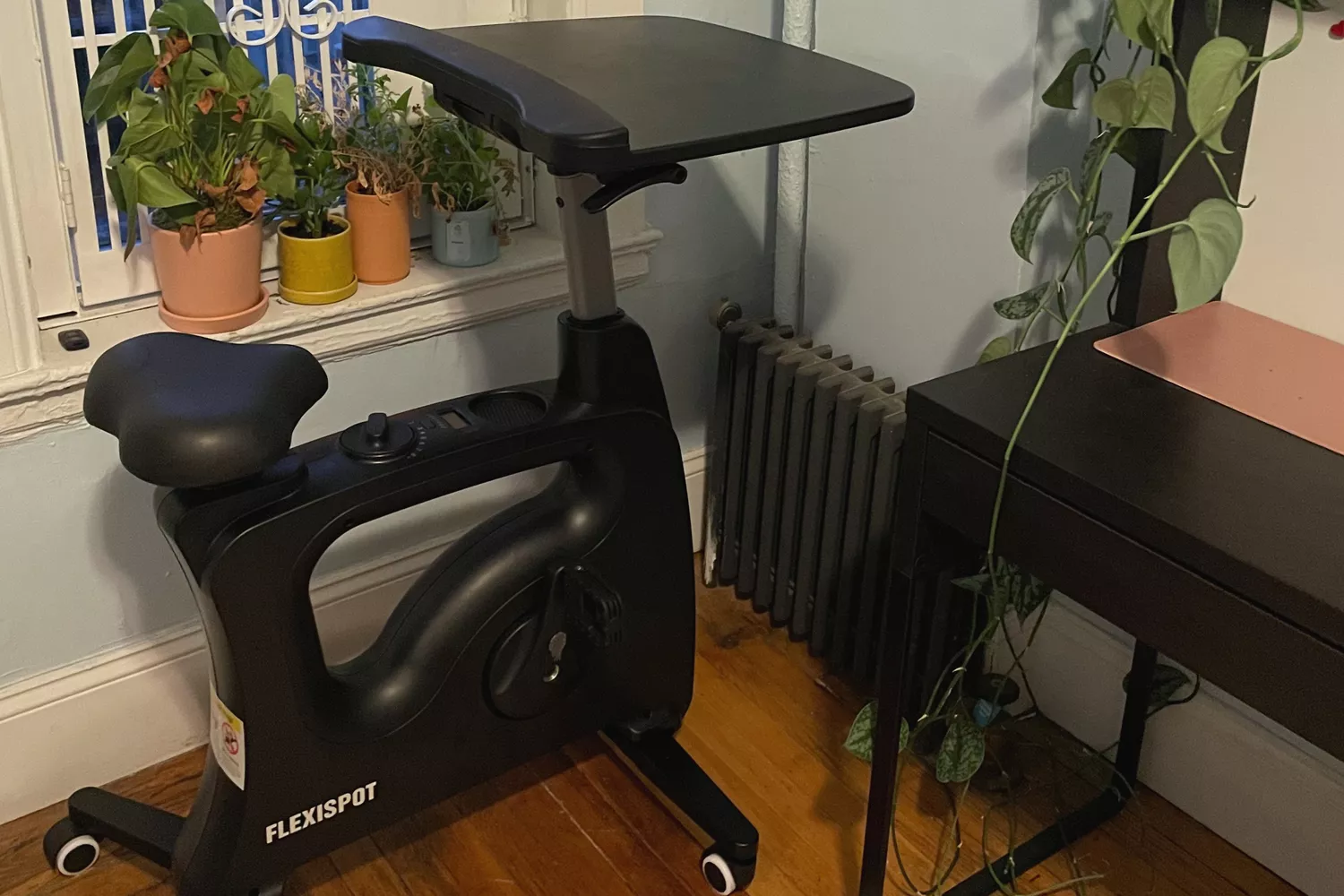 Flexispot Home Office Height Adjustable Cycle Desk Bike set up in front of plants and window