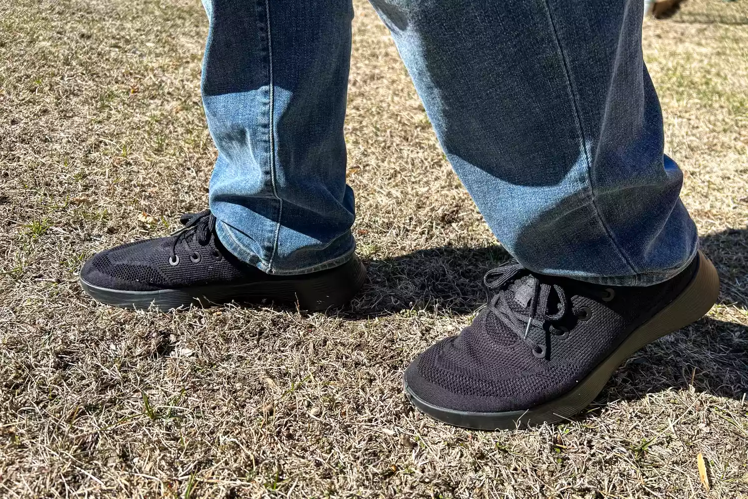 A close-up of the Allbirds Men's Tree Runner Go sneakers worn on grass