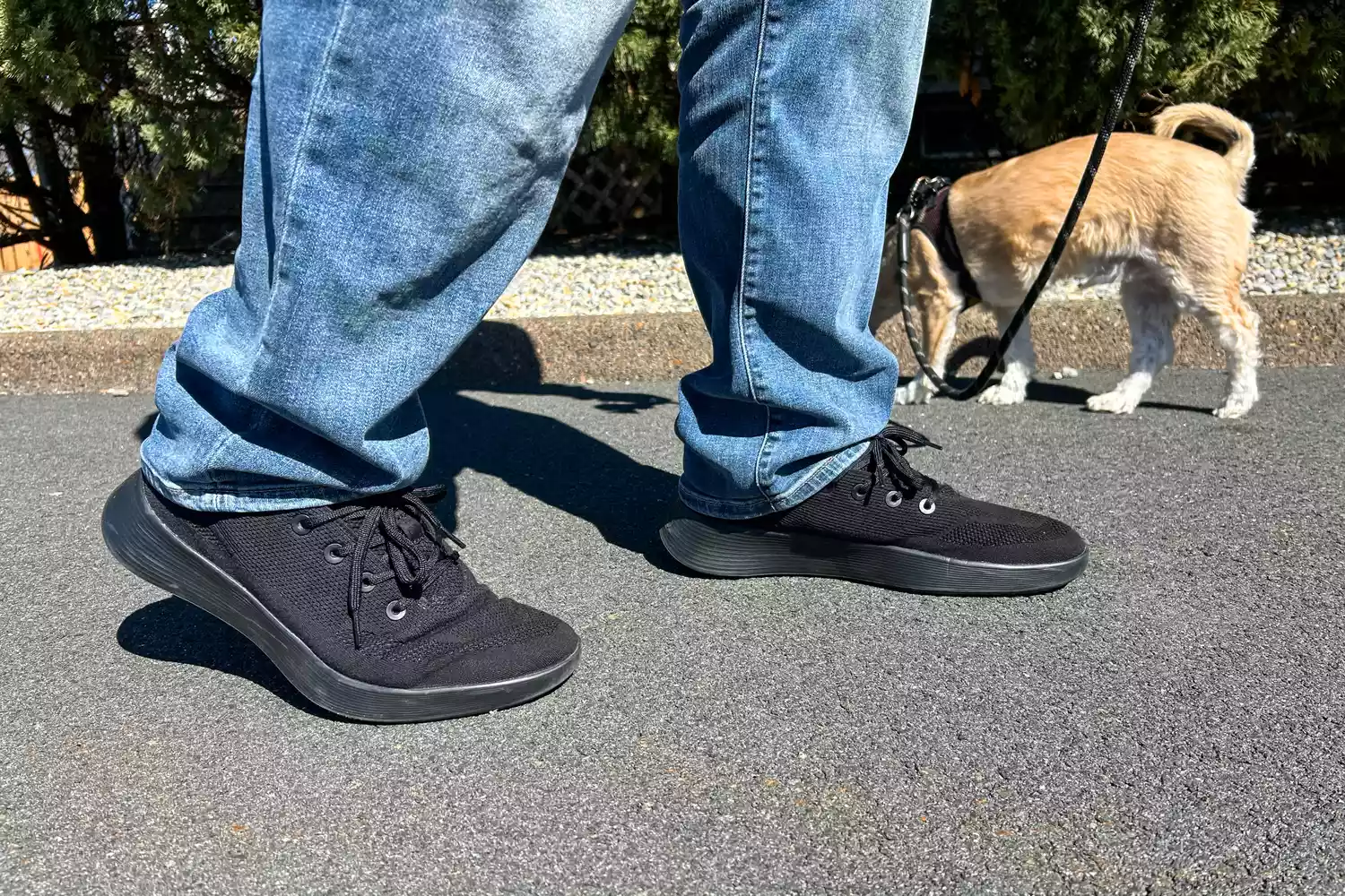 A person standing on a road while wearing the Allbirds Men's Tree Runner Go to walk their dog
