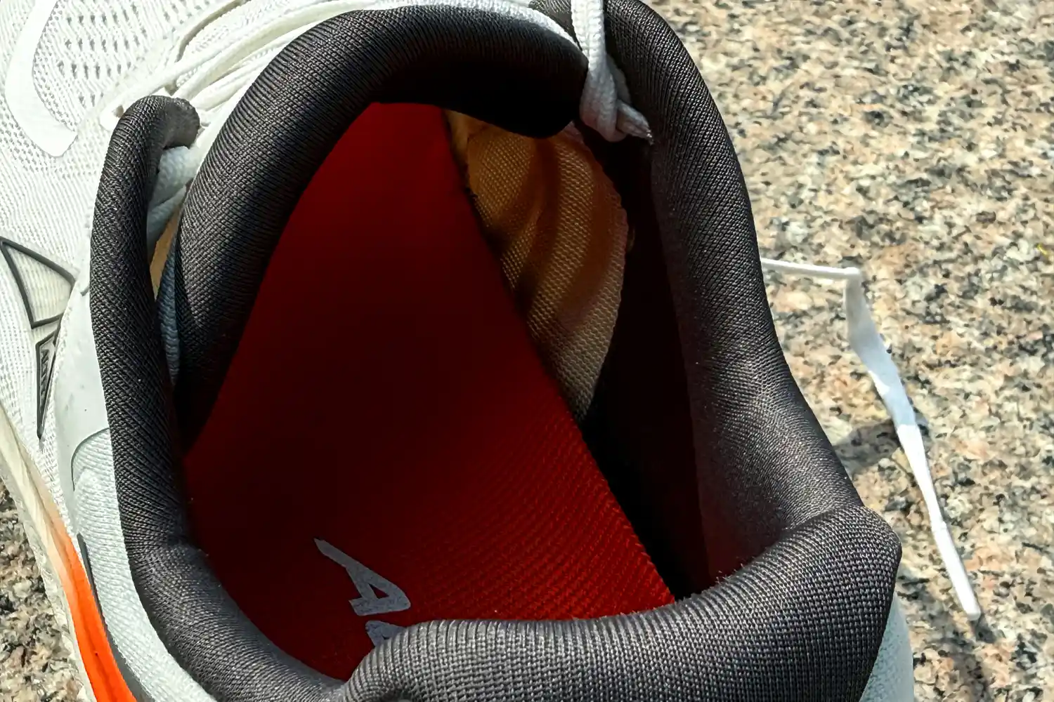 The insole of the Altra Men's Paradigm 7 Sneaker