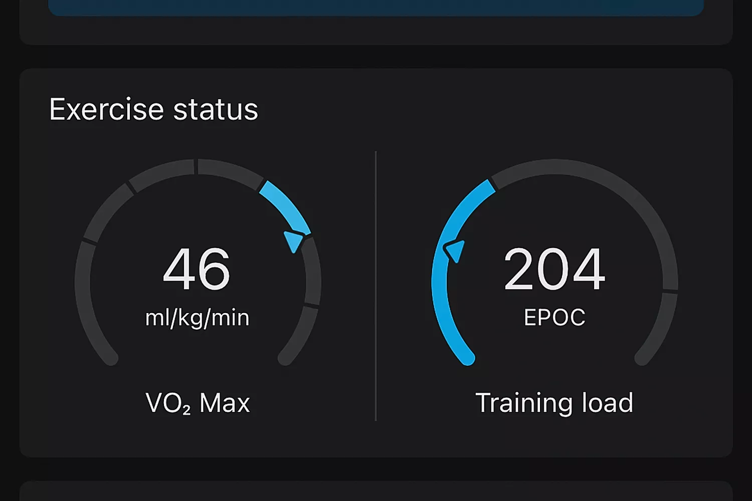 The exercise status on the Amazfit Balance Smart Watch app