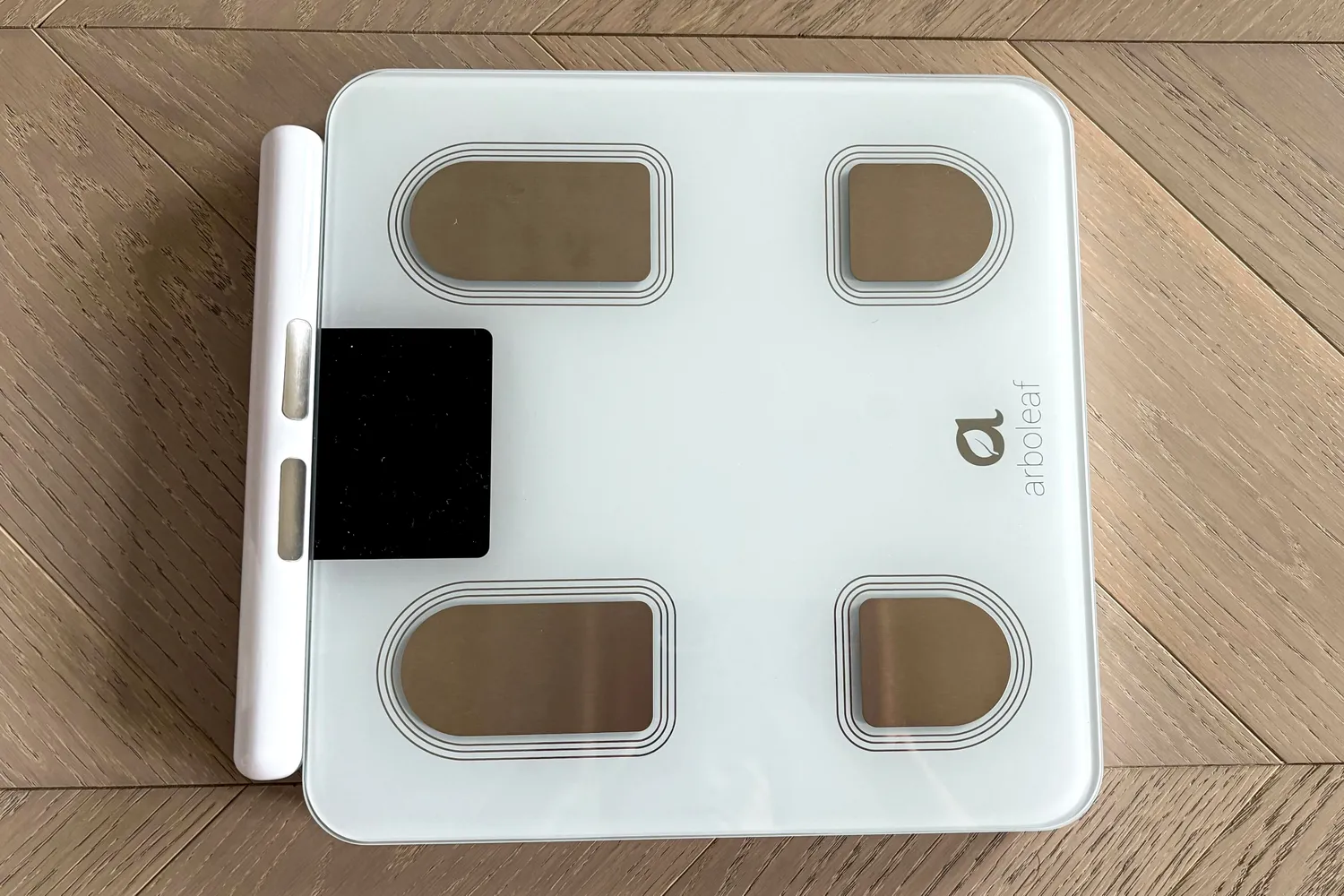 The Arboleaf CS10E Segmental Body Scale on a tile floor