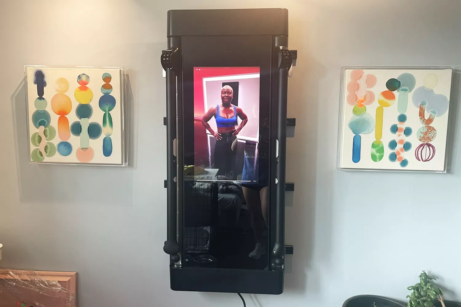 The Tonal fitness mirror set up on the wall and turned on