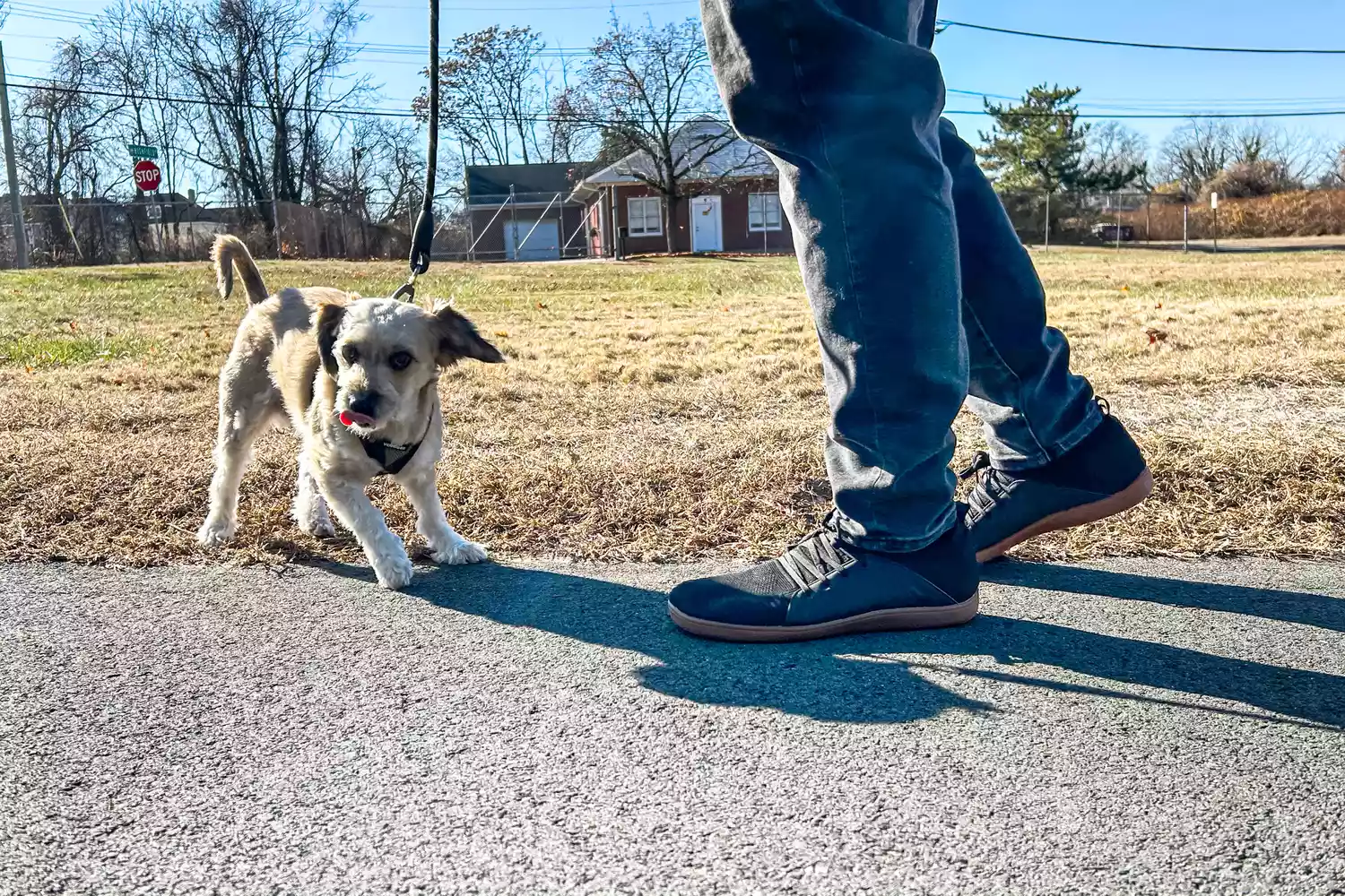 A person walks a dog while wearing the Relxfeet Men's Minimalist Barefoot Shoes