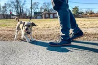 A person walks a dog while wearing the Relxfeet Men's Minimalist Barefoot Shoes
