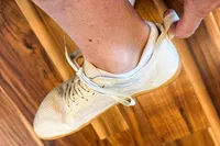 A person uses the back strap to adjust the Vivobarefoot Women's Primus Lite Knit Natural Sneaker