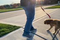 A person walking their dog while wearing the Allbirds Tree Runners