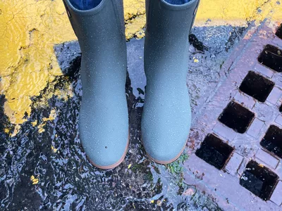 The Bogs Sweetpea Tall Rain Boots in the rain